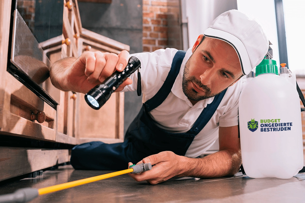 budget ongedierte bestrijden